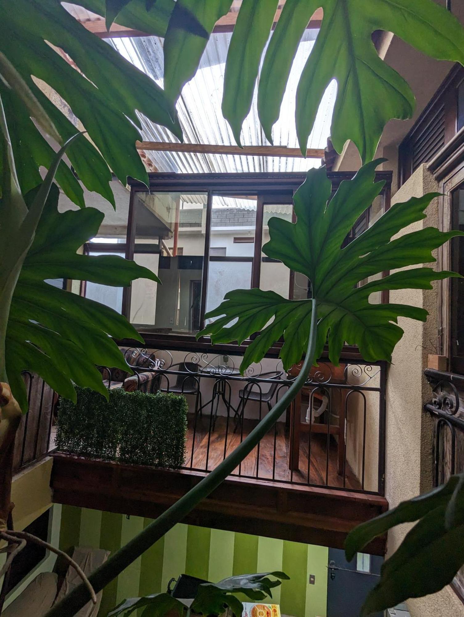 Apartmán Casa Gonzalez Santiago Atitlán Exteriér fotografie